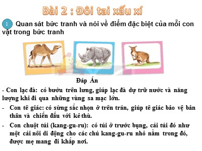 Bài giảng môn Tiếng Việt Lớp 1 - Bài 2: Đôi tai xấu xí