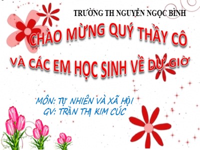 Bài giảng Tự nhiên và Xã hội Lớp 1 - Bài 12: Vui đón Tết (Tiết 2) - Trần Thị Kim Cúc