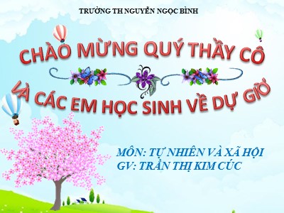 Bài giảng Tự nhiên và xã hội Lớp 1 - Bài: Cùng khám phá quang cảnh xung quanh - Trần Thị Kim Cúc
