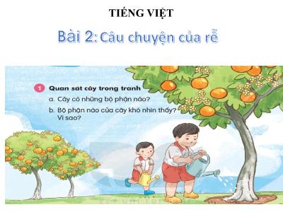 Bài giảng Tiếng Việt Lớp 1 - Bài 2: Câu chuyện của rễ