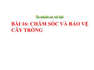 Bài giảng TNXH 1 - Bài 16: Chăm sóc và bảo vệ cây trồng (Tiết 1)