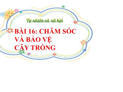 Bài giảng TNXH 1 - Bài 16: Chăm sóc và bảo vệ cây trồng (Tiết 2)
