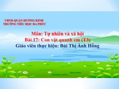Bài giảng TNXH 1 - Bài 17: Con vật quanh em (Tiết 3)(Bùi Thị Ánh Hồng)