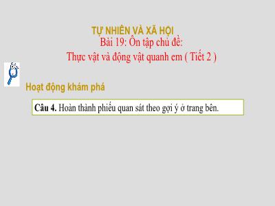 Bài giảng TNXH 1 - Bài 19: Ôn tập Chủ đề Thực vật và Động vật (Tiết 2)
