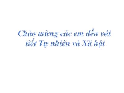 Bài giảng TNXH 1 - Bài 3: Đồ dùng trong nhà (Tiết 1)