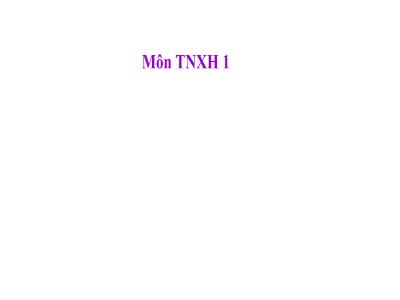 Bài giảng TNXH 1 - Bài 6: Lớp học của em (Tiết 2)