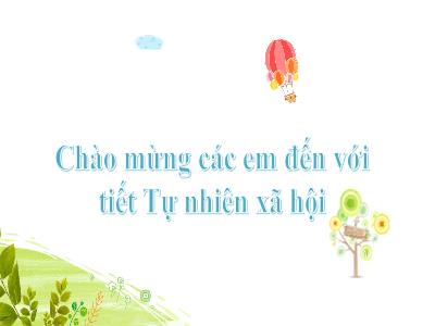 Bài giảng TNXH 2 - Bài 4: Giữ sạch nhà ở (Tiết 2)