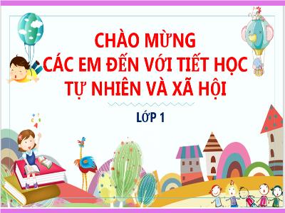 Bài giảng Tự nhiên xã hội 1 (Kết nối tri thức) - Bài 22: Ăn, uống hằng ngày (Tiết 1)