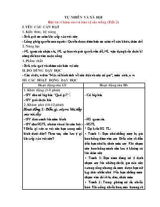 Giáo án Tự nhiên xã hội 1 (Kết nối tri thức) - Tuần 19