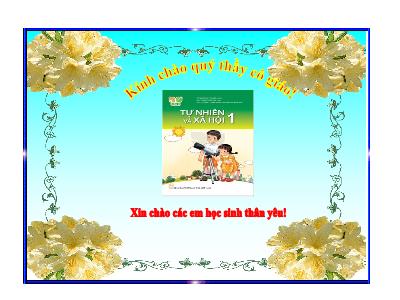 Bài giảng môn TNXH Lớp 1 - Bài 12: Vui đón Tết