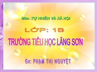 Bài giảng môn TNXH Lớp 1 - Bài 13: Công việc ở nhà (GV: Phạm Thị Nguyệt)