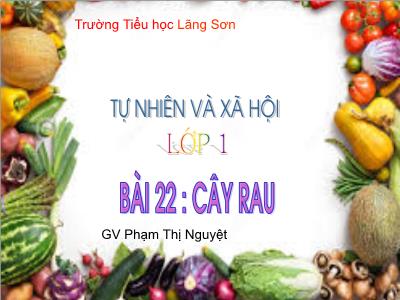 Bài giảng môn TNXH Lớp 1 - Bài 22: Cây rau (GV: Phạm Thị Nguyệt)