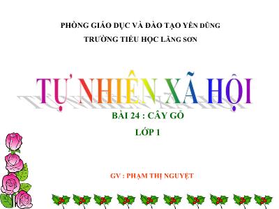 Bài giảng môn TNXH Lớp 1 - Bài 24: Cây gỗ (GV: Phạm Thị Nguyệt)