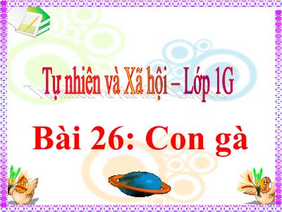 Bài giảng môn TNXH Lớp 1 - Bài 26: Con gà (GV: Phạm Thị Nguyệt)