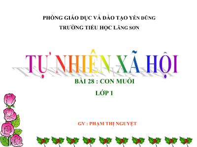 Bài giảng môn TNXH Lớp 1 - Bài 28: Con muỗi (GV: Phạm Thị Nguyệt)