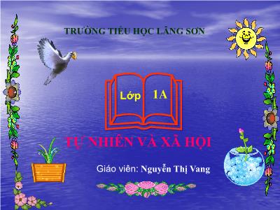 Bài giảng môn TNXH Lớp 1 - Bài 5: Vệ sinh thân thể (GV: Nguyễn Thị Vang)
