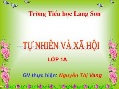 Bài giảng môn TNXH Lớp 1 - Bài: Công việc ở nhà (GV: Nguyễn Thị Vang)