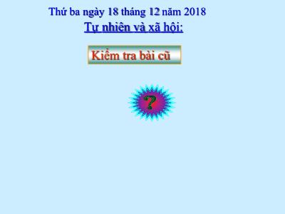 Bài giảng môn TNXH Lớp 1 - Bài: Lớp học (GV: Trịnh Thị Hoa)