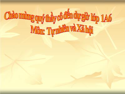 Bài giảng môn TNXH Lớp 1 - Chủ đề 3, Bài 10: Cùng khám phá quang cảnh xung quanh (Tiết 1)(GV: Trần Thị Liên)
