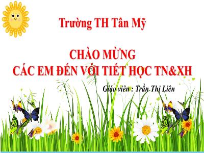 Bài giảng môn TNXH Lớp 1 - Ôn tập chủ đề Cộng đồng địa phương (Tiết 2)(GV: Trần Thị Liên - Trường TH Tân Mỹ, Bắc Giang)