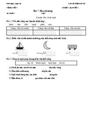 Phiếu Bài tập hằng ngày Tiếng Việt 1 - Chủ điểm 7. Thế giới trong mắt em - Bài 7. Hoa phượng - Kết nối tri thức (Năm học 2026-2027)